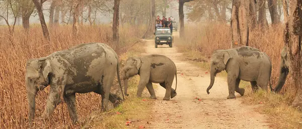 Unforgettable Northeast Experiences