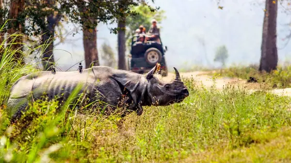 Kaziranga-Shillong-Cherrapunjee-4N,5D