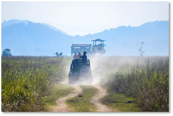 Pobitora Wildlife Sanctuary - 2N, 3D/ 1N, 2D