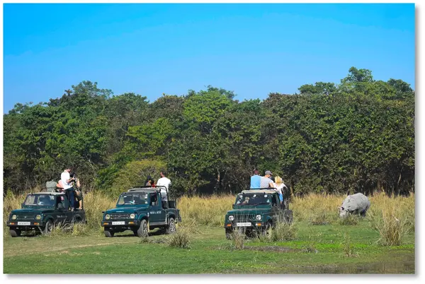 Pobitora Wildlife Sanctuary - 2N, 3D/ 1N, 2D