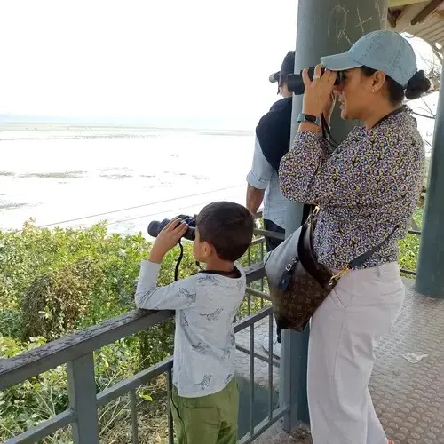 Bird Watching At Pobitora Wls