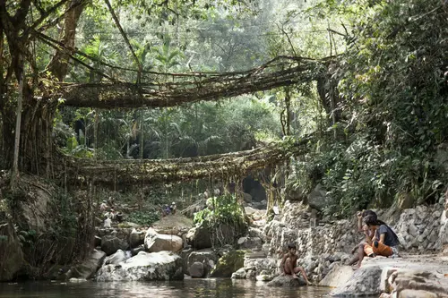 Double Decker Living Roots Bridge