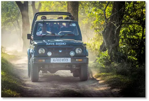 Jeep Safari At Pobitora Wls