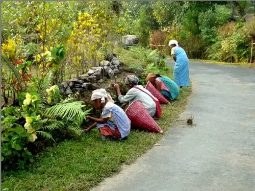 Asia's Cleanest Village