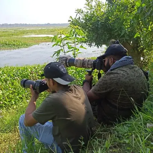 Wildlife Photography