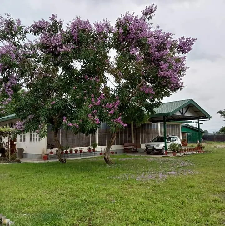 Bungalow at Kaziranga